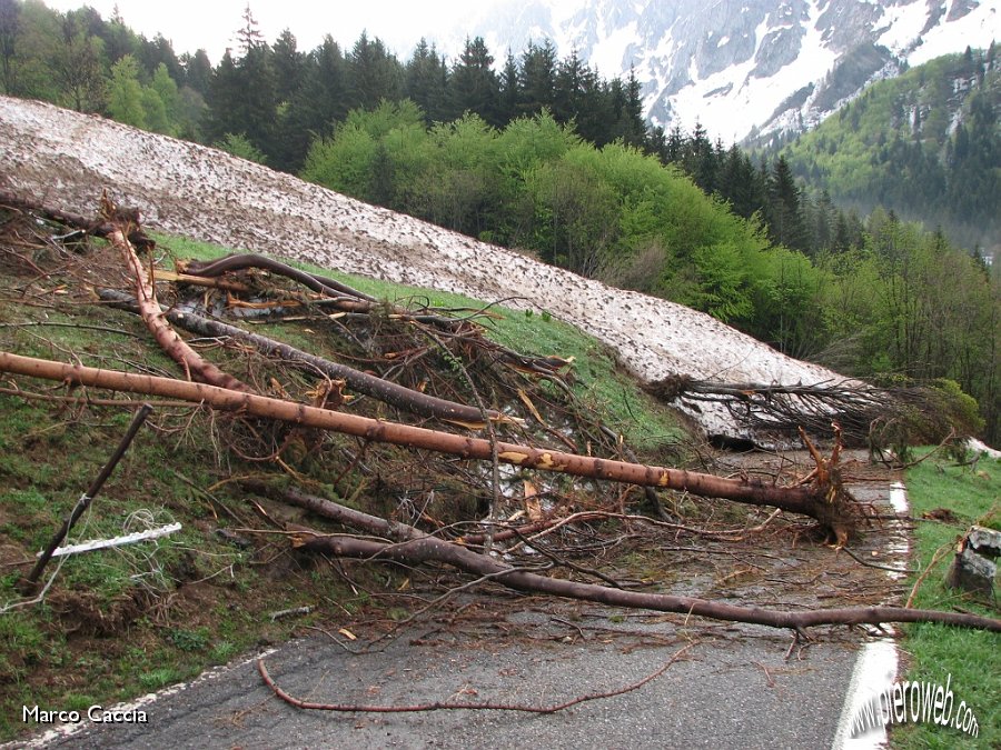 01_Valanga sulla strada del Vivione.JPG